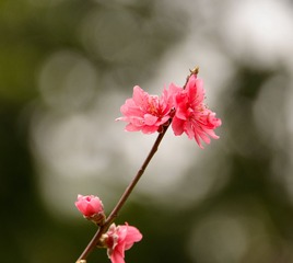20130125-140821s.jpg