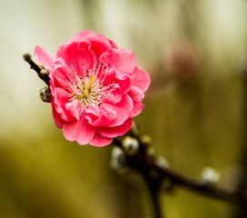 20130125-140607s.jpg