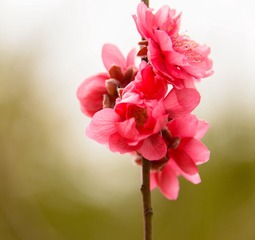 20130125-140739s.jpg