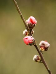 20130125-140647s.jpg
