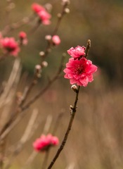 20130125-141103s.jpg