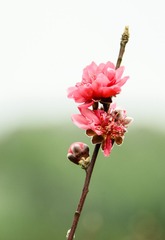 20130125-140635s.jpg