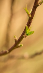20130125-141411s.jpg