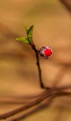 20130125-141418s.jpg