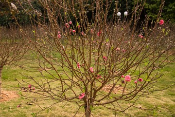 20130125-141230s.jpg