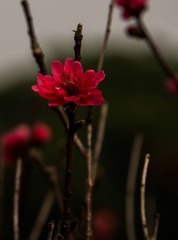 20130125-141109s.jpg