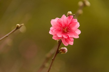 20130125-140843s.jpg