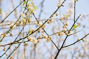 20140117-102537