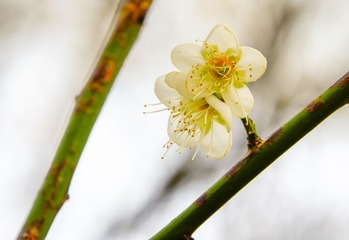 20140117-103749