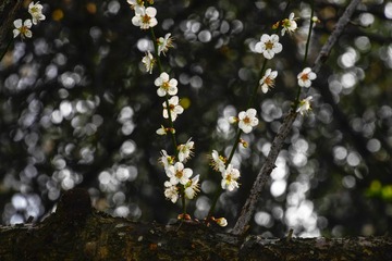 20140117-102222