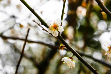 20140117-102311