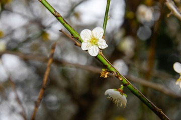 20140117-102320