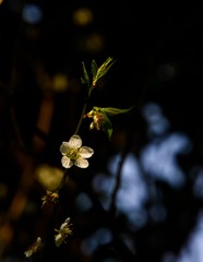 20140117-102505