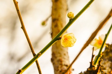 20140117-103834