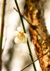 20140117-104021