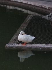 5375060