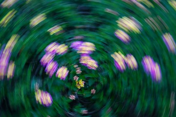 1000212561