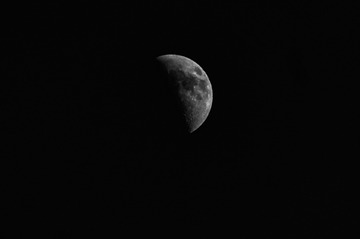 1000210533