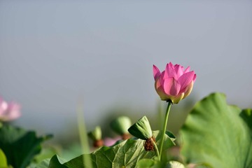 001