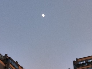 1000035774