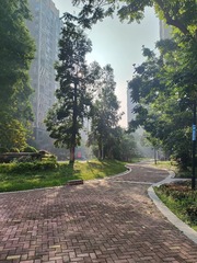 1000035341
