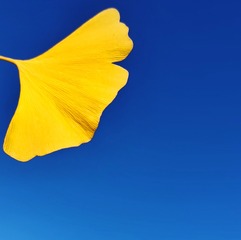 4834