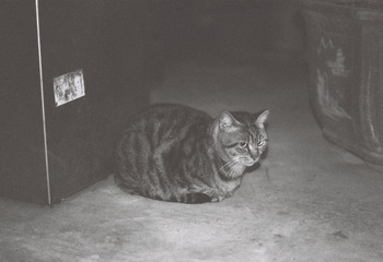 199229