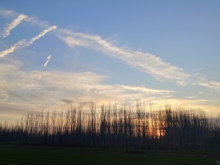 1000214301