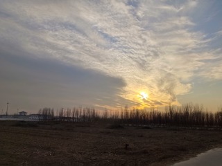 1000216436