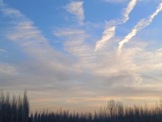 1000214304