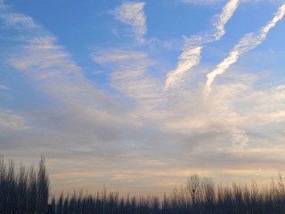 1000214305