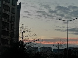 IMG_20230218_064441