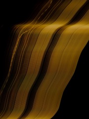 1000465843
