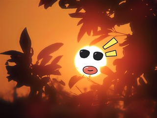 1000060515