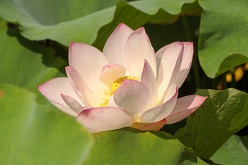 267699E1-1DF1-4282-AB22-BABA8F793CA4/L0/001