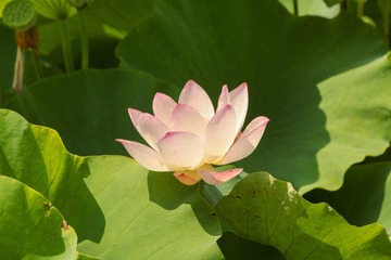 C8347F95-6DD8-4B8A-917A-0B093AF54C6C/L0/001