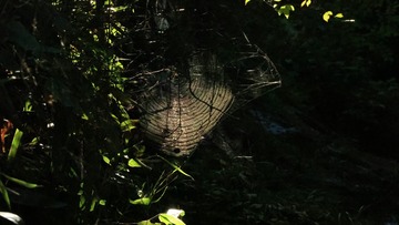 20105