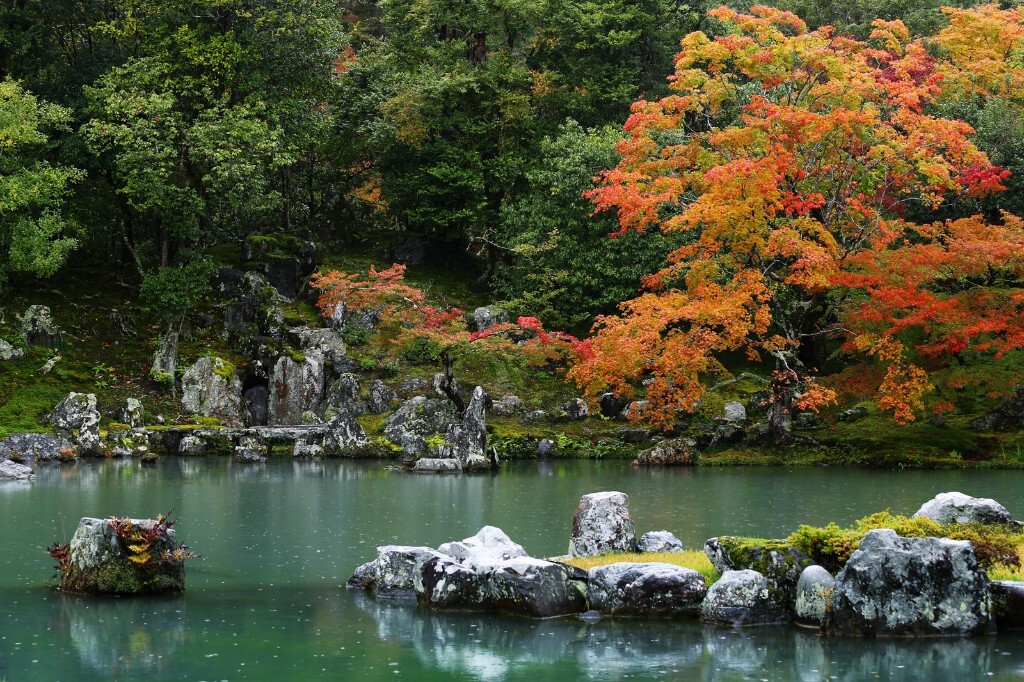 日本岚山美篇图片