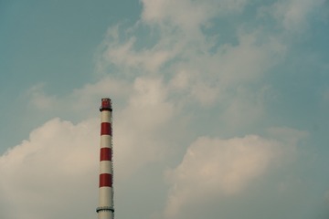 1000031123