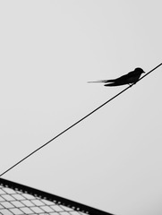 IMG_55251.jpg
