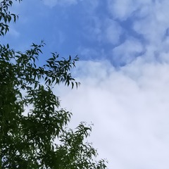 63657