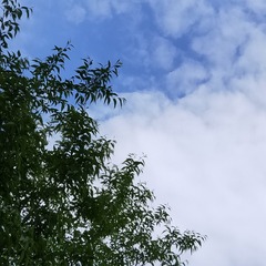 63654