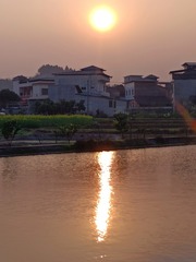 84542