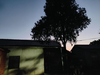 1000079943
