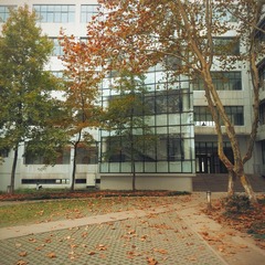 2014-11-15 01.36.31 1