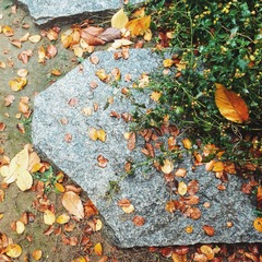 2014-11-25 01.17.15 2