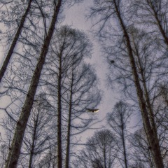 IMG_9946.jpg
