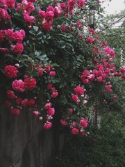 2014-05-18 10.59.46 1