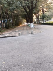 1000053139