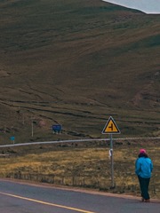 1000014175
